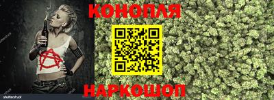 молекула духа Донской