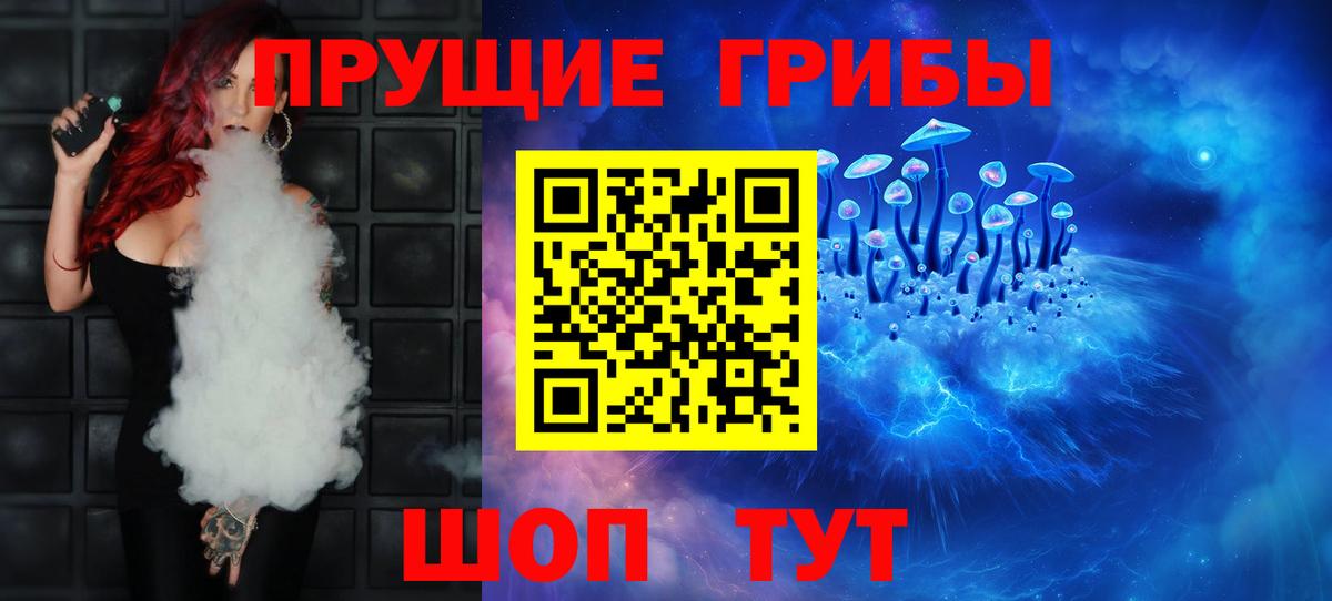 Галлюциногенные грибы Psilocybe  где купить наркоту  Кингисепп  Вход с VPN 