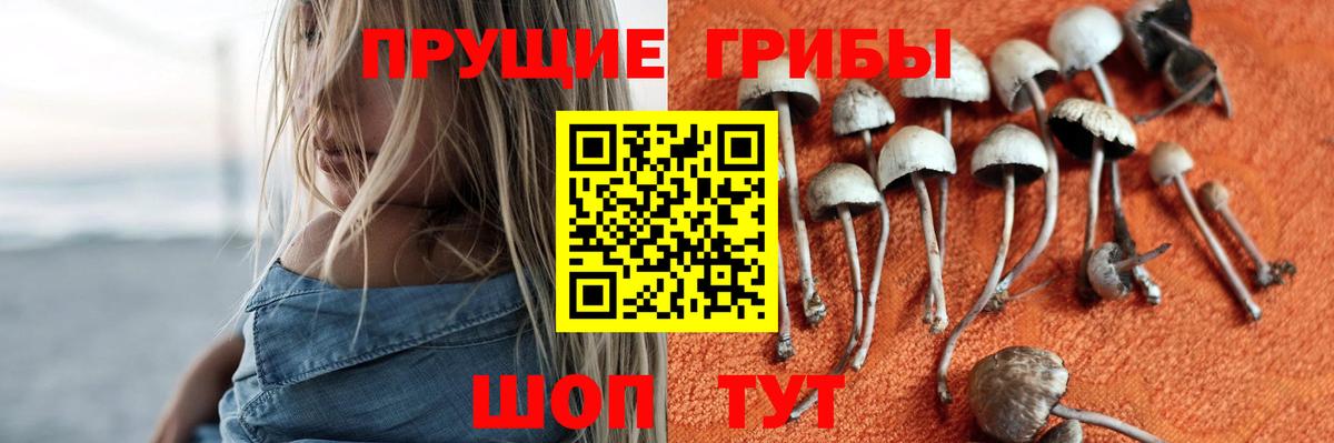 Псилоцибиновые грибы ЛСД Кингисепп
